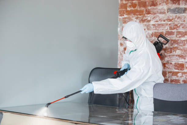 Best Attic Mold Removal in Westport, IN